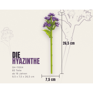 Preview: Stone Heap Single flower hyacinth (SH-11004)