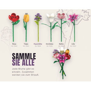 Preview: Stone Heap Single flower hyacinth (SH-11004)